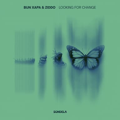Looking For Change