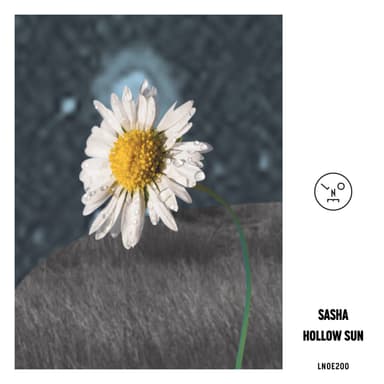 Hollow Sun 24