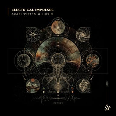 Electrical Impulses