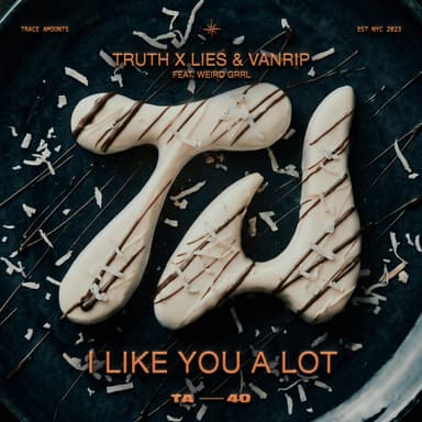 I Like You A Lot (feat. Weird Grrl)