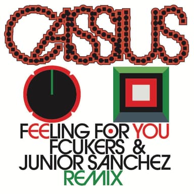 Feeling For You