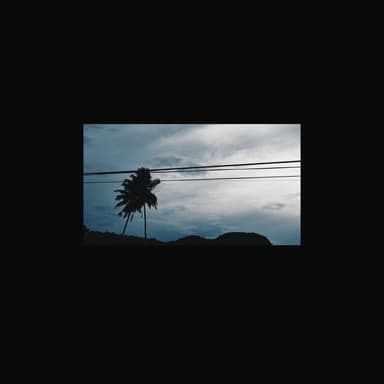 Noise Cut