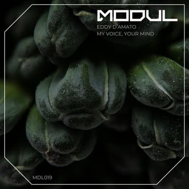 My Voice, Your Mind
