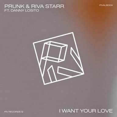 I Want Your Love 